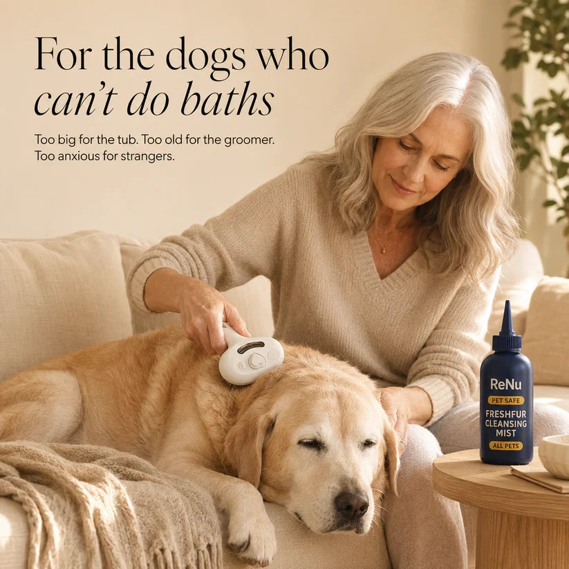 FreshFur Cool Mist Bonding™ Brush + Cleansing Mist Set
